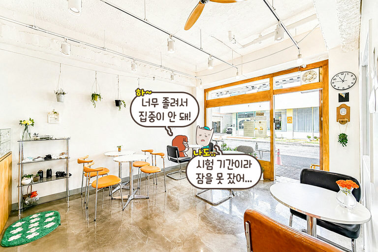 도심 속 작은 숲, 생기 가득한 '코히 숲'🌳
