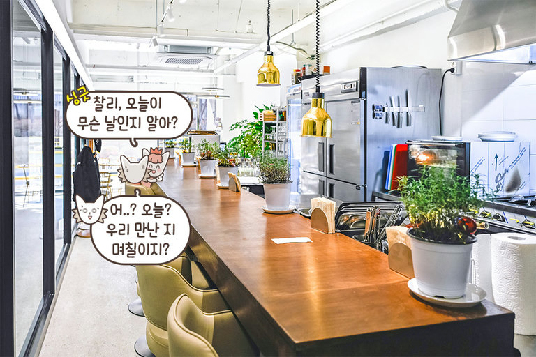 소규모 레스토랑의 편안한 온기🌿