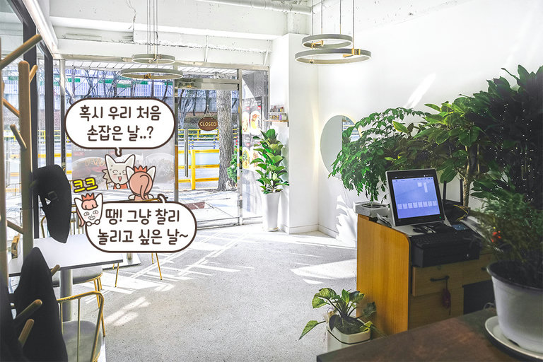 소규모 레스토랑의 편안한 온기🌿