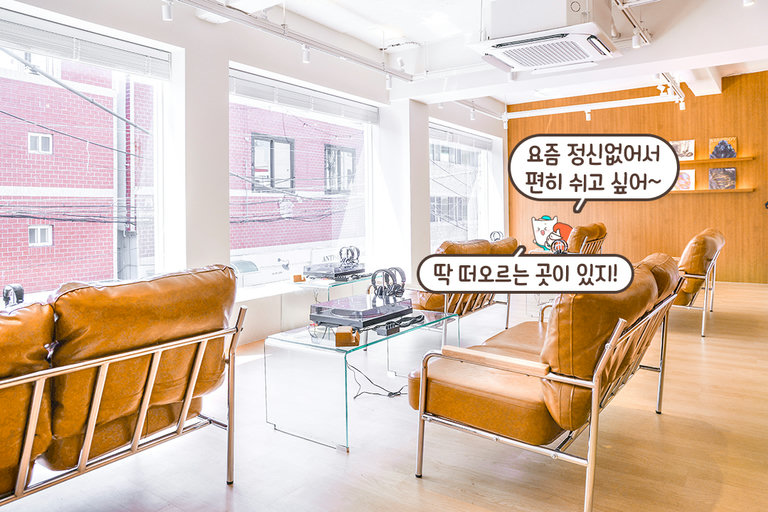 아늑함이 감도는 내부 분위기✨