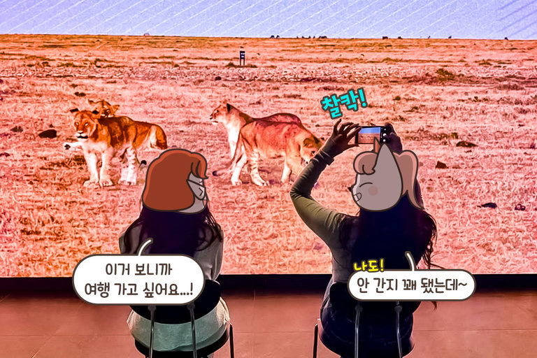 모두 예쁜 인생 사진 건져가세요✨