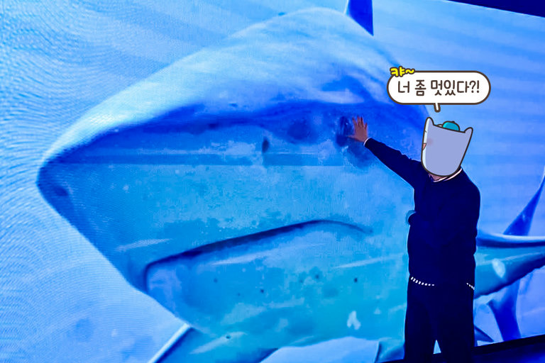 실제 영상 속 공간에 서있는 듯한 리얼함