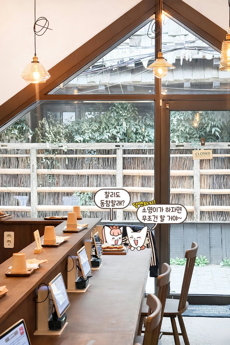 월넛 색상 원목의 깊은 품격🪵