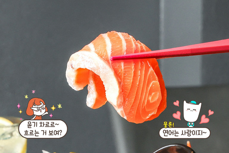 두툼하고 고소한 연어 사시미