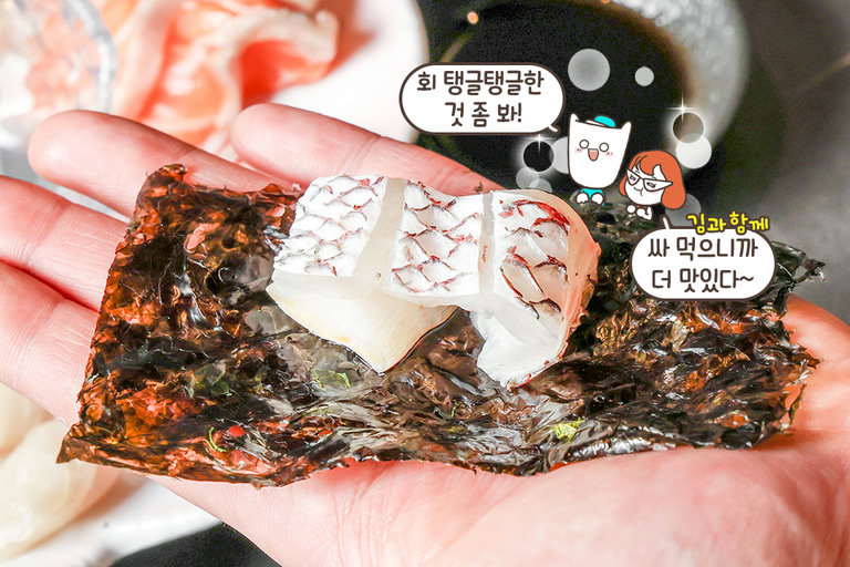 8가지 해산물이 한 접시에! 사시미