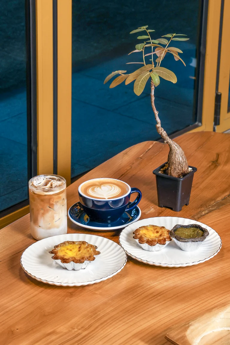 전문적인 커피 한 잔☕