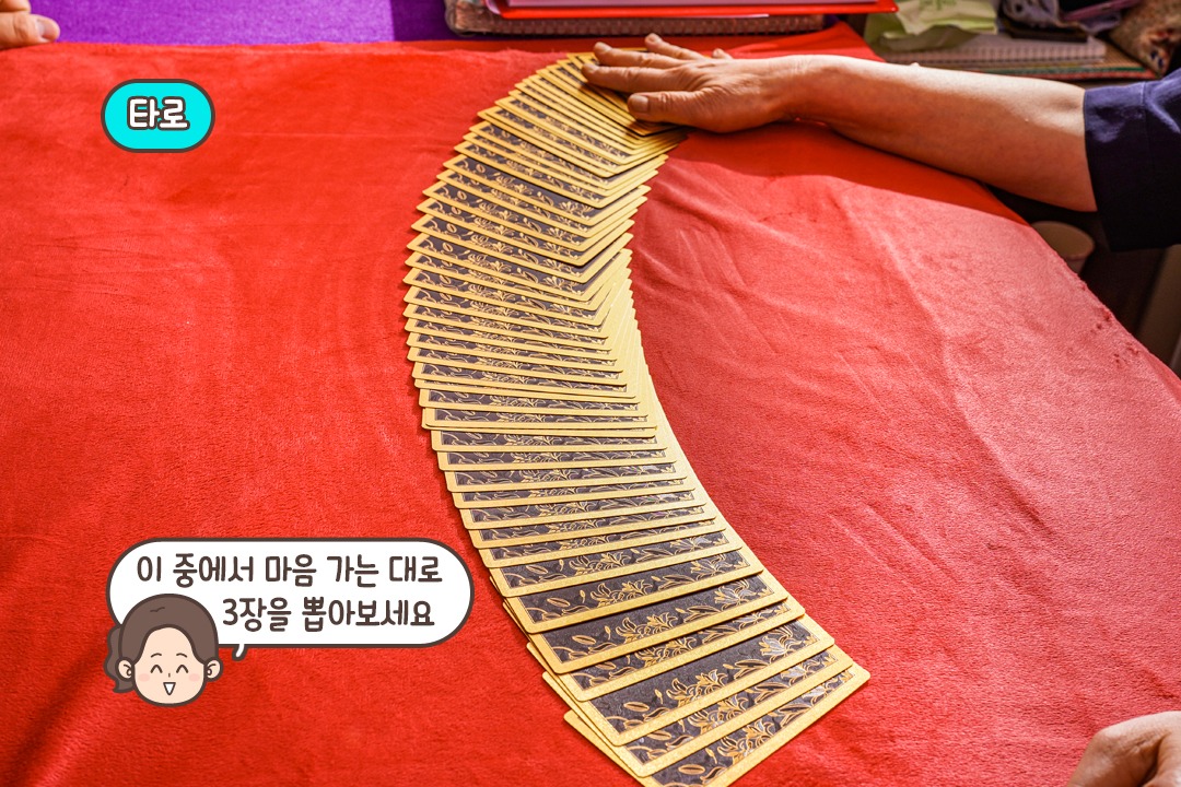 어느 것을 골라볼까요~