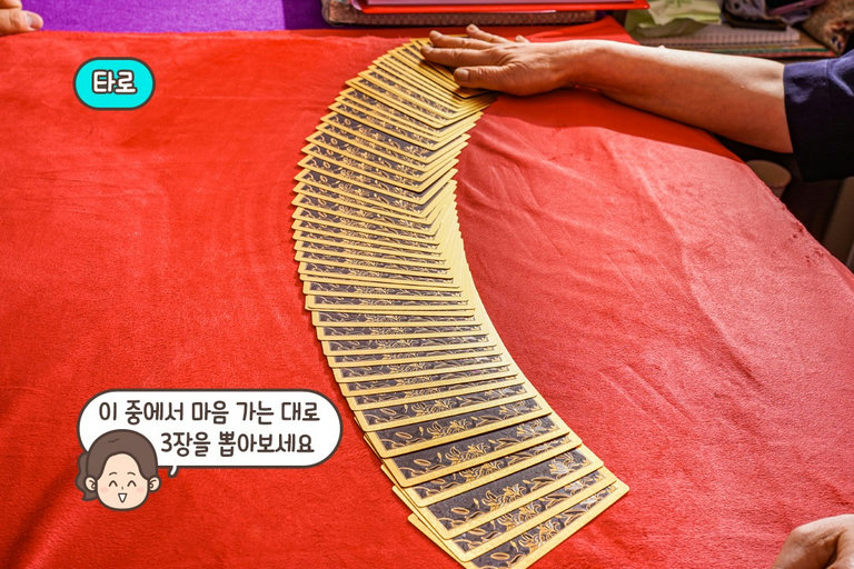어느 것을 골라볼까요~
