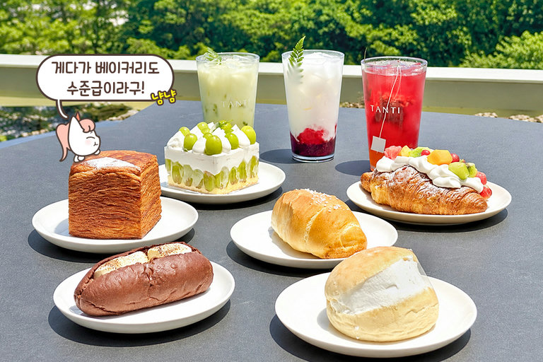 알록달록 눈과 입이 즐거운 케이크🍰