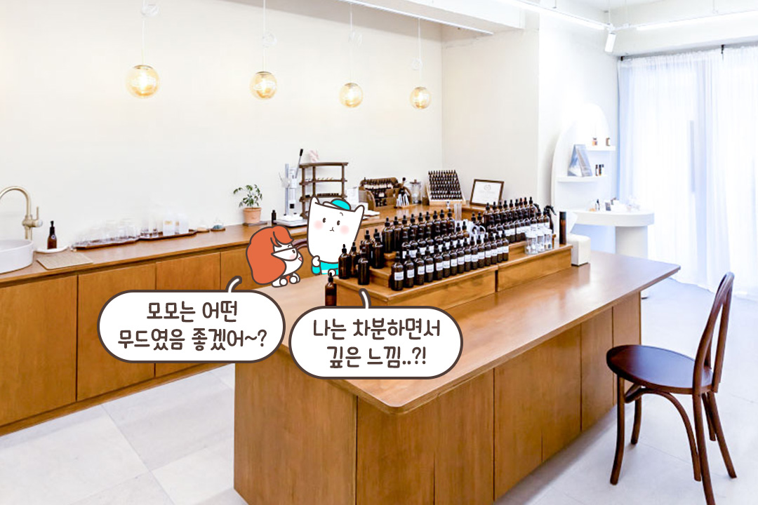 갤러리에 온 듯한 분위기🖼️