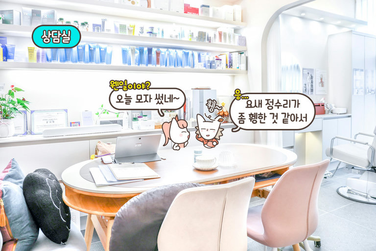 프라이빗한 공간에서 관리받을 수 있는 곳