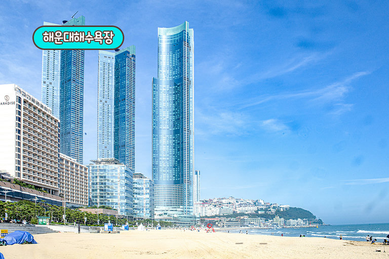 바다 보고 디저트 먹는 코스, 이보다 완벽할 수 없죠