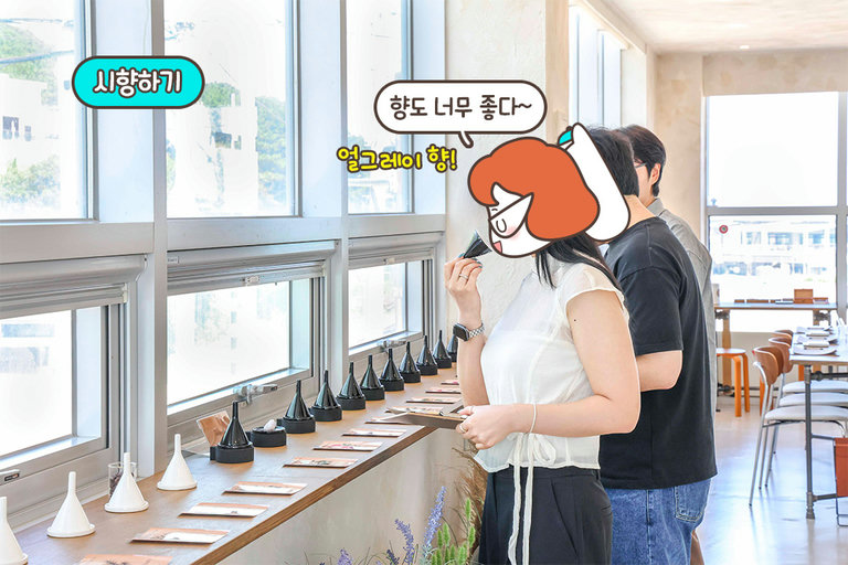 향의 첫인상부터 잔향까지, 하나씩 골라보기
