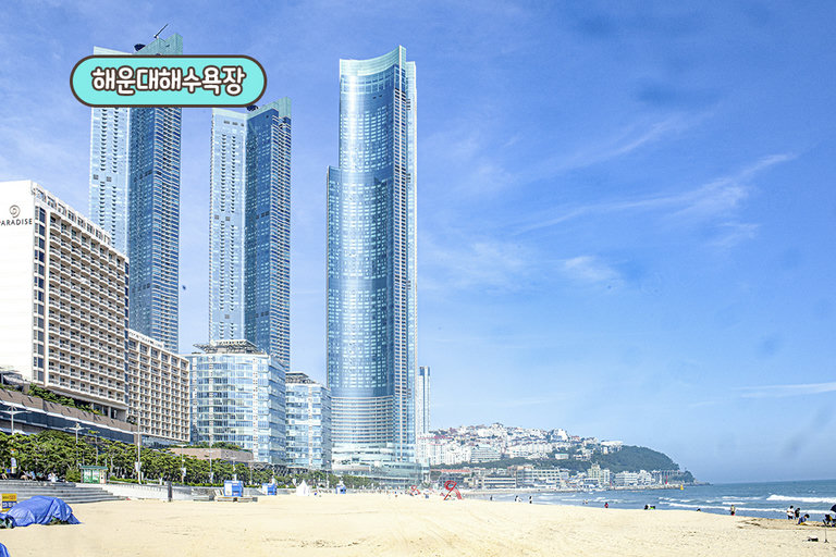 해운대 바다 데이트까지!