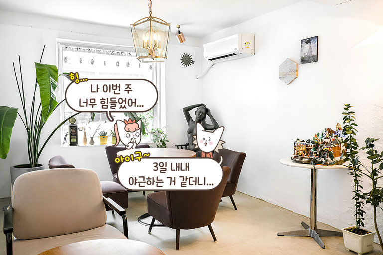 모든 공간이 분리되어 있는 아늑한 공간