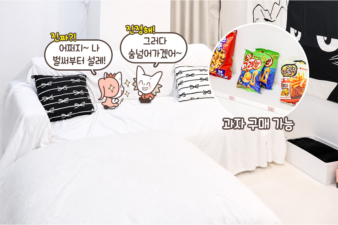 고양이가 생활하기 최적화된 공간