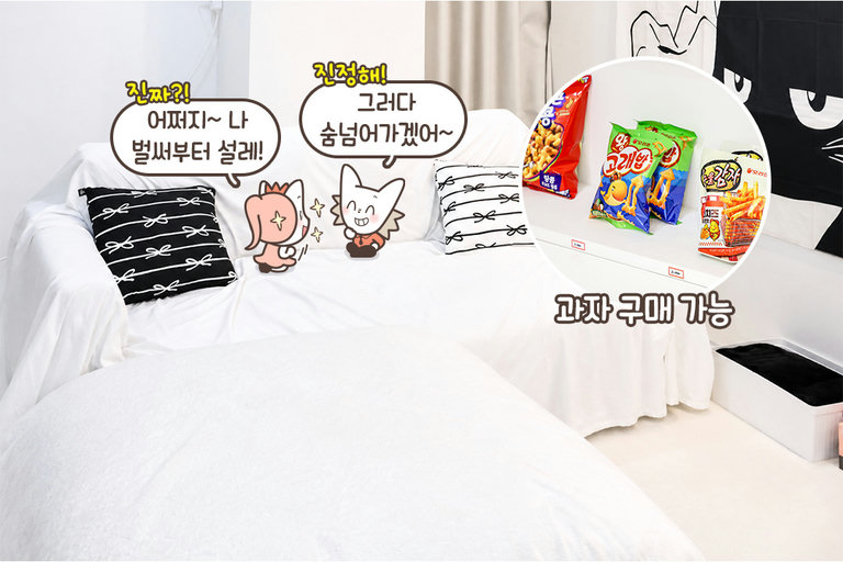 고양이가 생활하기 최적화된 공간