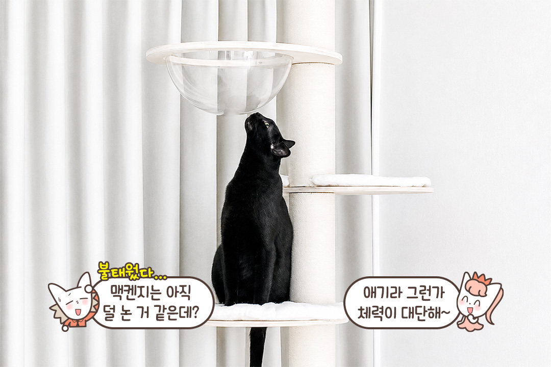 놀 때도 쉴 때도 언제나 함께!