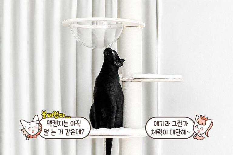 놀 때도 쉴 때도 언제나 함께!