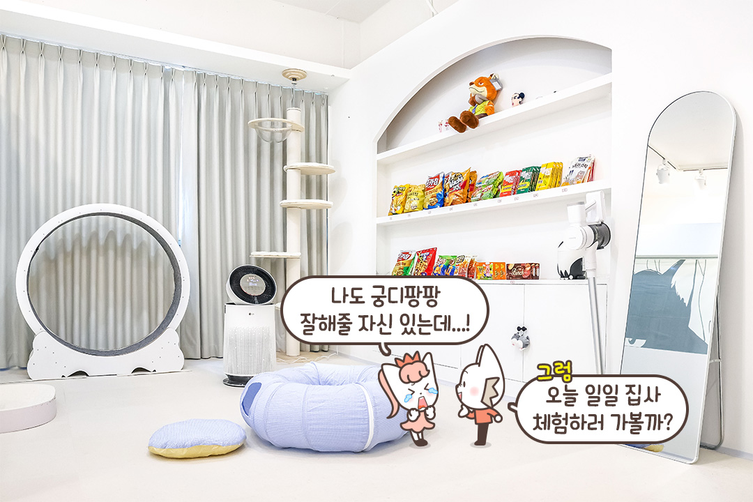 고양이가 생활하기 최적화된 공간