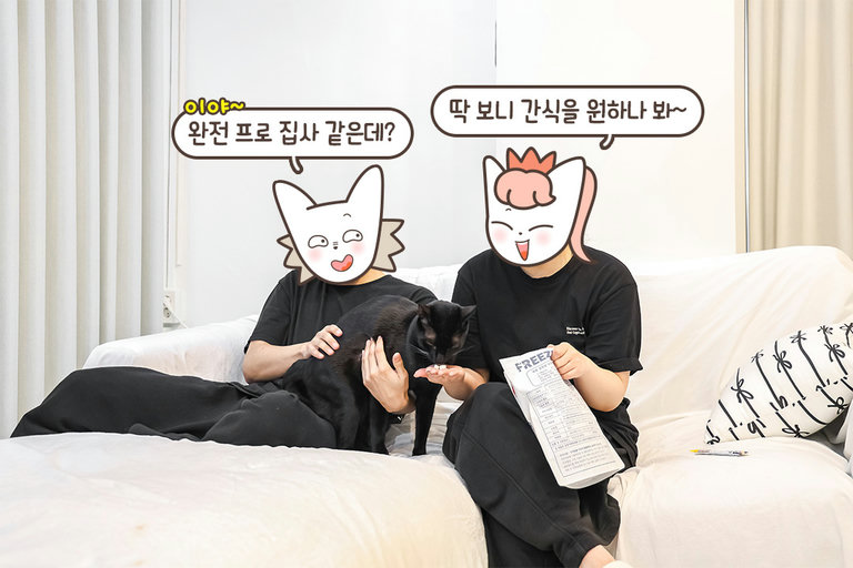 거부할 수 없는 초롱초롱한 눈빛