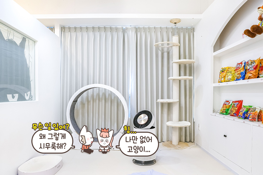 고양이와 함께하는 프라이빗 OTT 룸✨