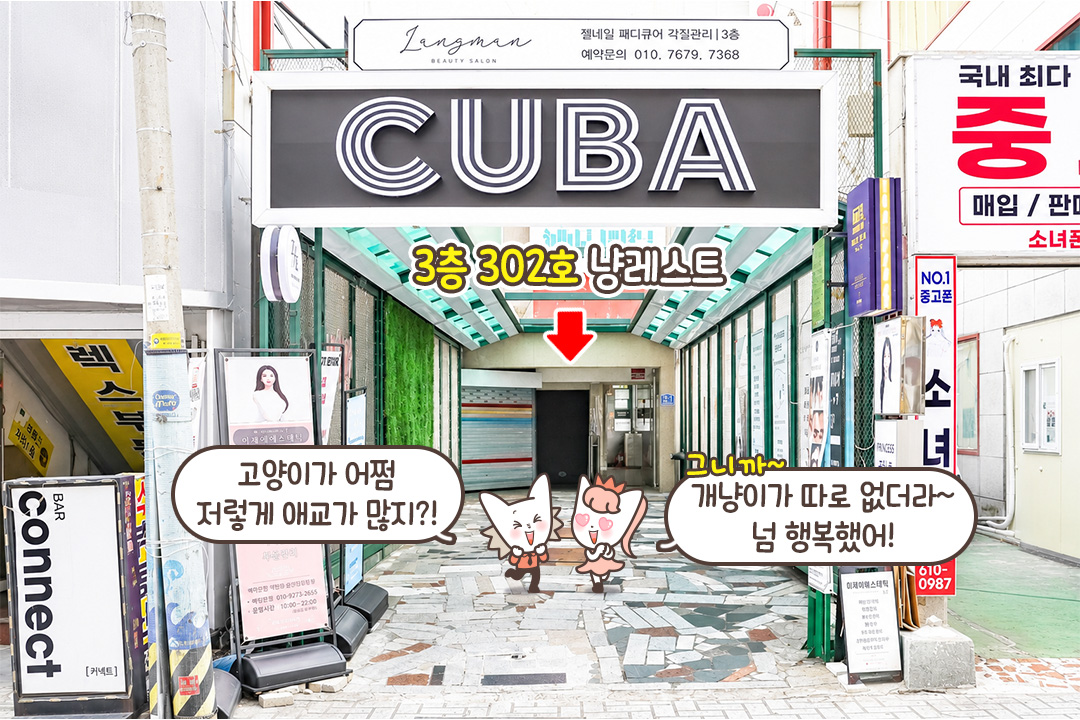 다음에 또 오라냥🐾