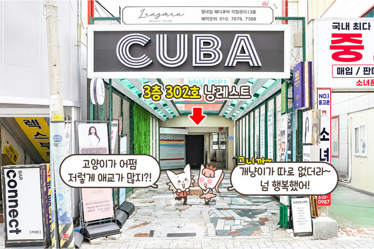 다음에 또 오라냥🐾
