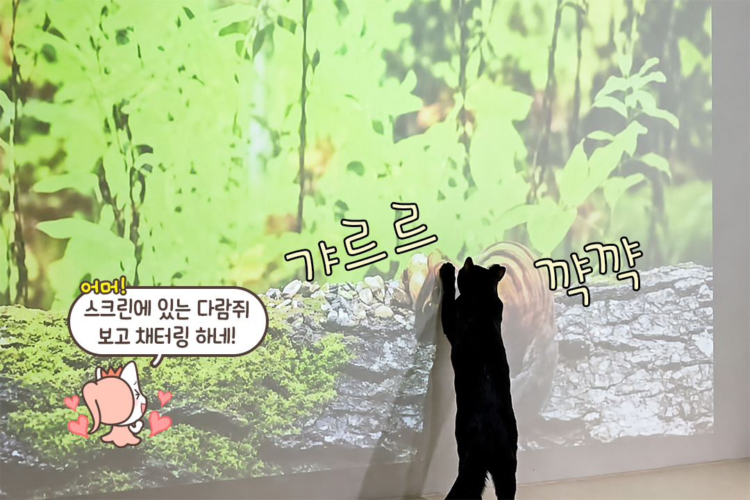 나 오늘 고양이랑 OTT 보고 왔어 (진심)