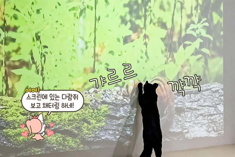 나 오늘 고양이랑 OTT 보고 왔어 (진심)