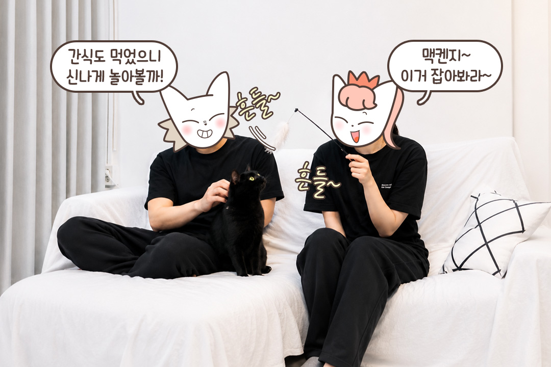 맥켄지와 함께하는 신나는 놀이 시간🚀