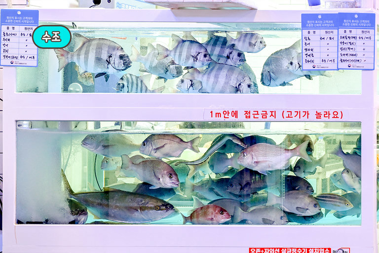 수족관과 숙성고 퀄리티 좀 보소✨