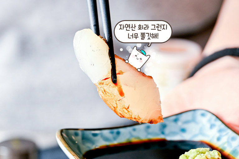 고급 횟감 대령이오🙇♂️