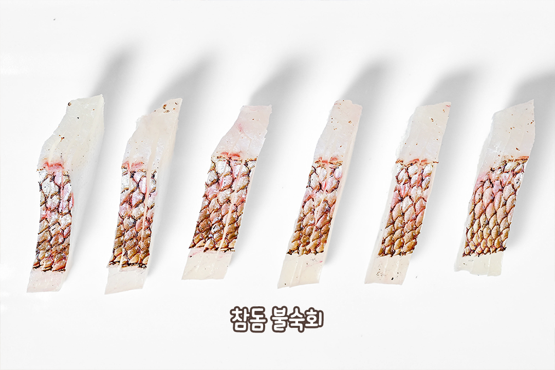 고급 횟감 대령이오🙇‍♂️