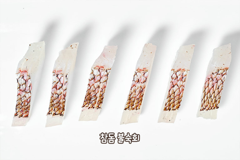 고급 횟감 대령이오🙇♂️