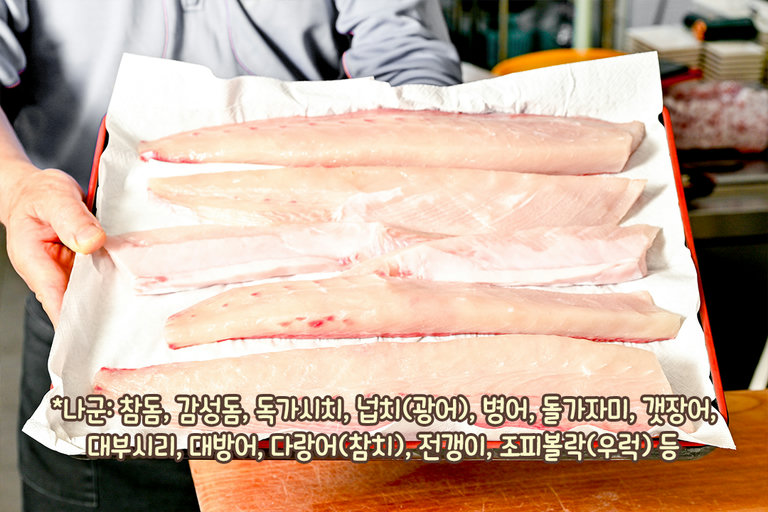 어류 종류가 가득해~