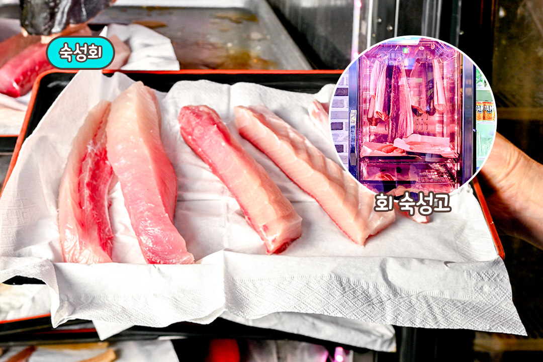 수족관과 숙성고 퀄리티 좀 보소✨