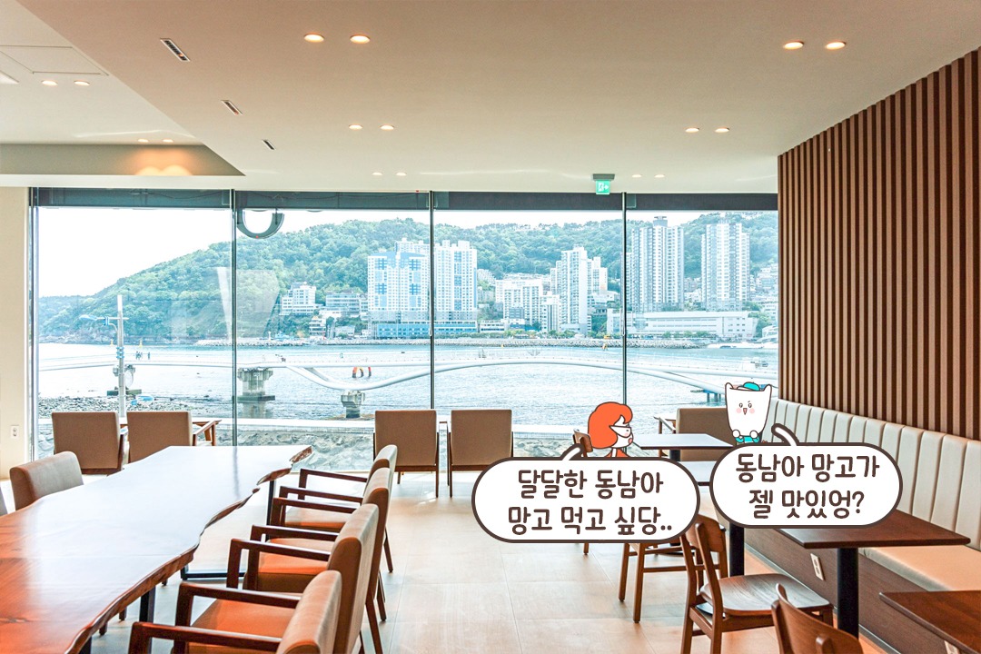 뻥 뚫린 오션뷰🩵