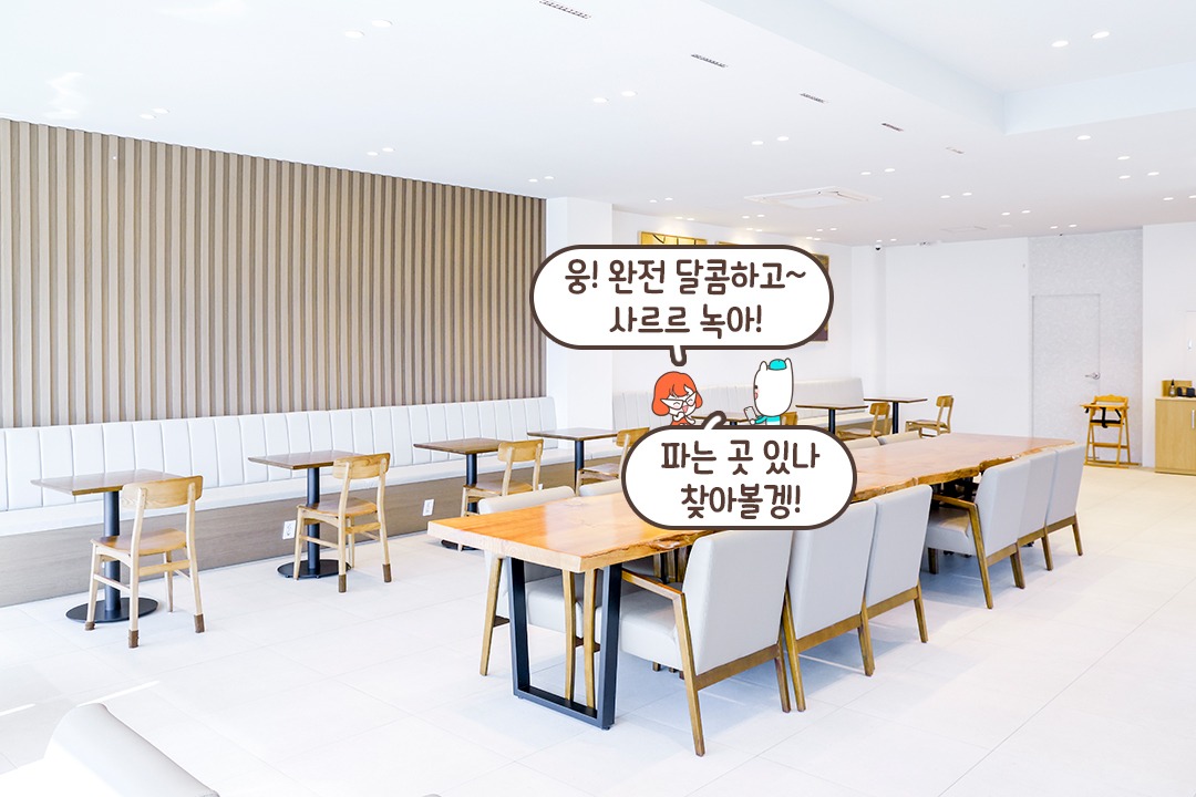 갤러리 같은 내부🖼️