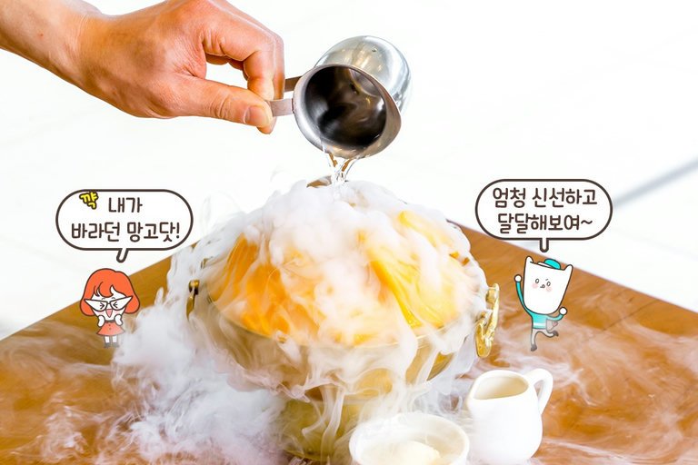 망고를 활용한 메뉴가 가득🥭
