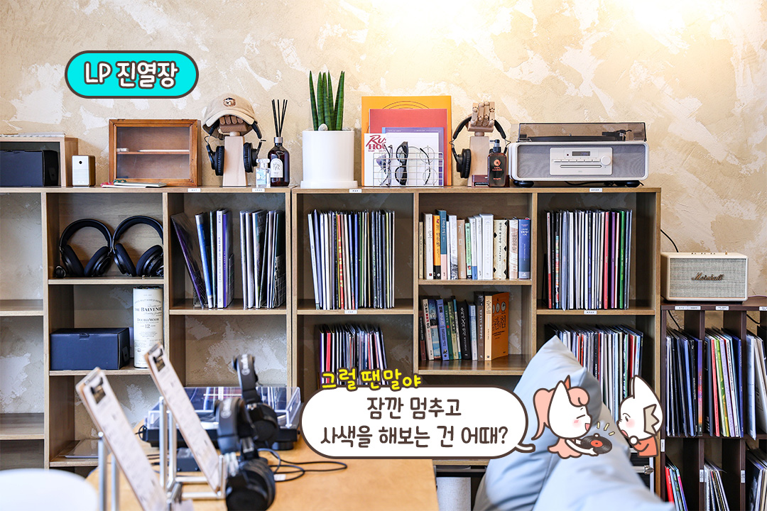 취향대로 고르는 LP의 즐거움
