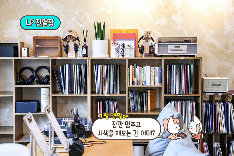 취향대로 고르는 LP의 즐거움