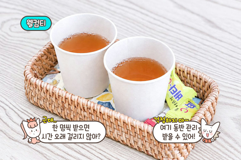 머리부터 몸까지 한 번에 받는 60분 코스