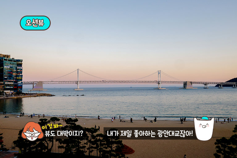 핑크빛 노을부터 광안대교 야경까지!