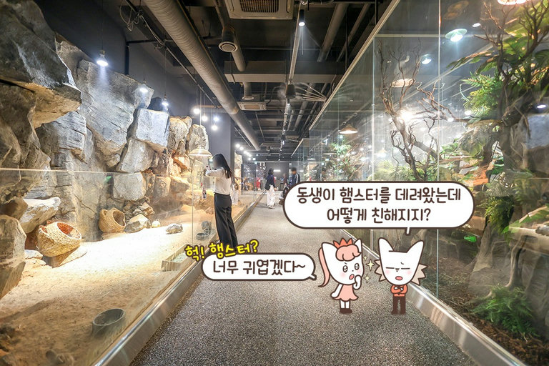 동물들에게 최적의 환경을 제공하기 위한 노력