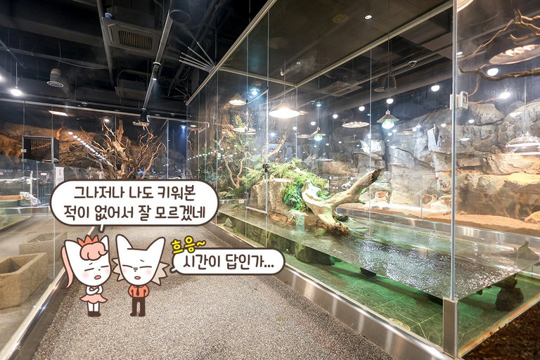 접해보기 힘든 다양한 동물 친구들