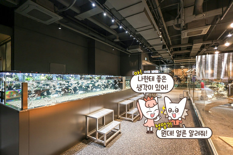 접해보기 힘든 다양한 동물 친구들