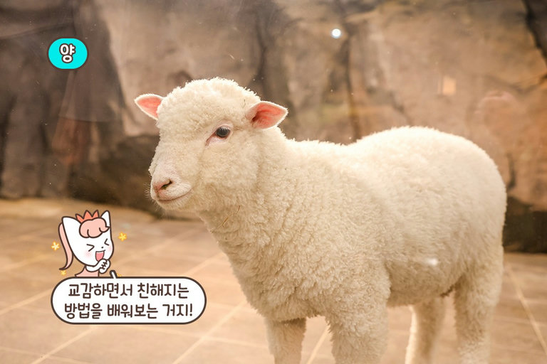 입장 전 꼭 확인해 주세요🙅♀️