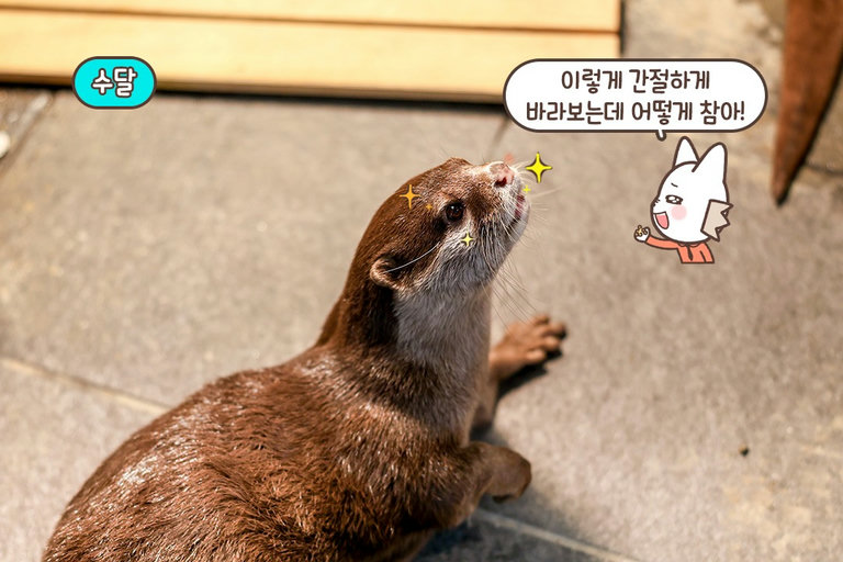큐알 코드 스캔을 통해 동물 정보 확인 가능