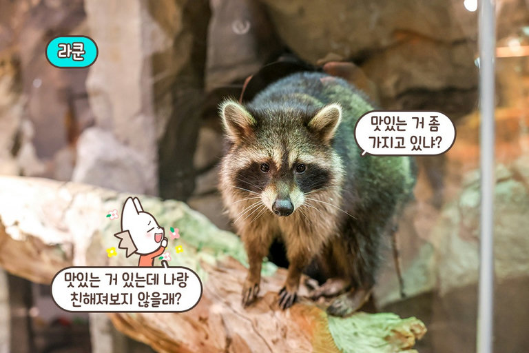조금 더 깊은 설명을 원한다면👍
